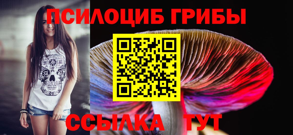Псилоцибиновые грибы MAGIC MUSHROOMS Томск