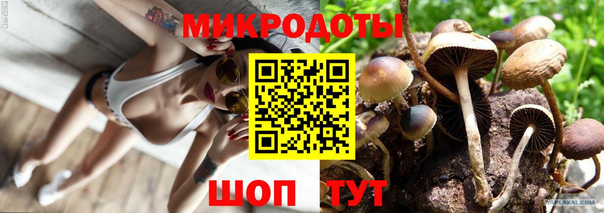 Псилоцибиновые грибы ЛСД  наркота  Томск  Вход с VPN 